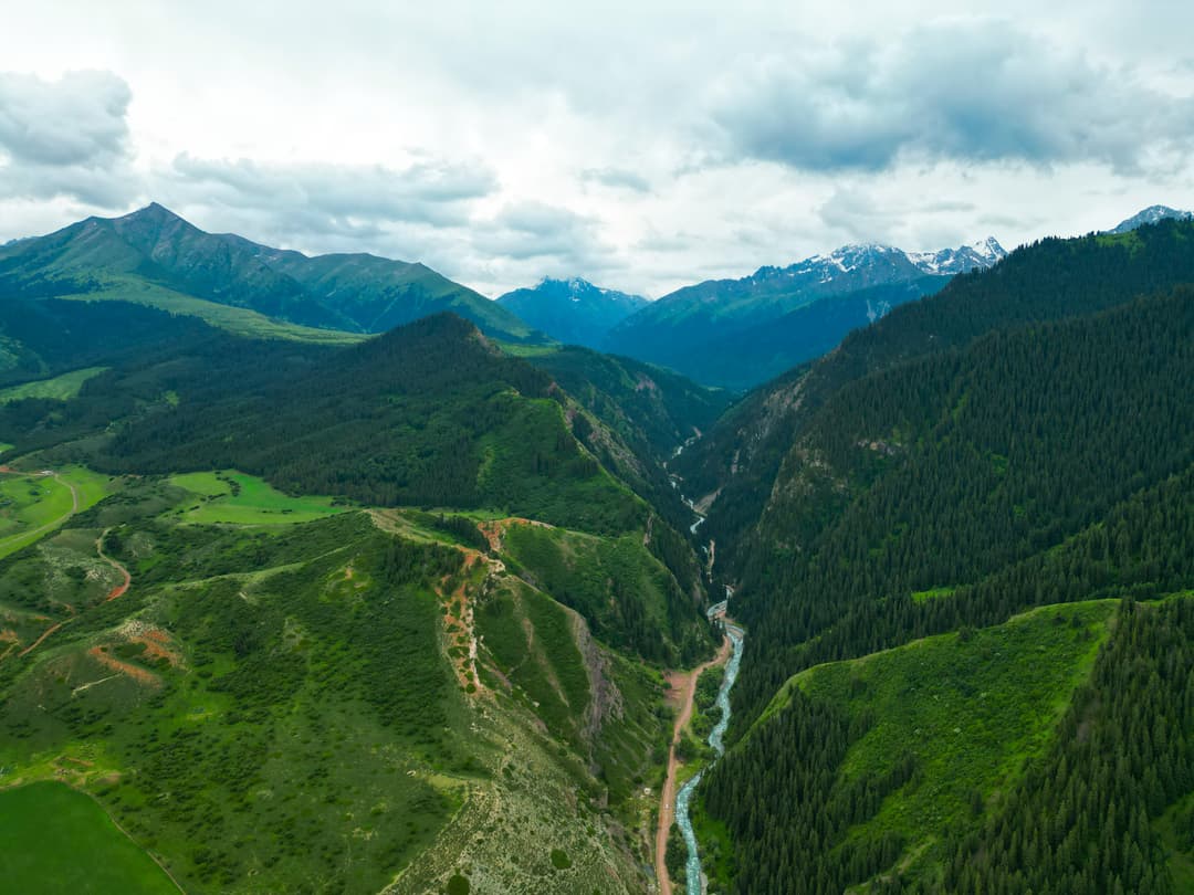 Green mountains and gorges